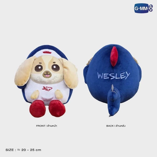 WESLEY FANDOM CHARACTER SITTING BUDDY